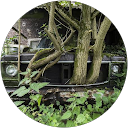 Darcy Hayden profile picture