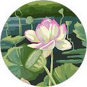 Clarissa Madden profile picture